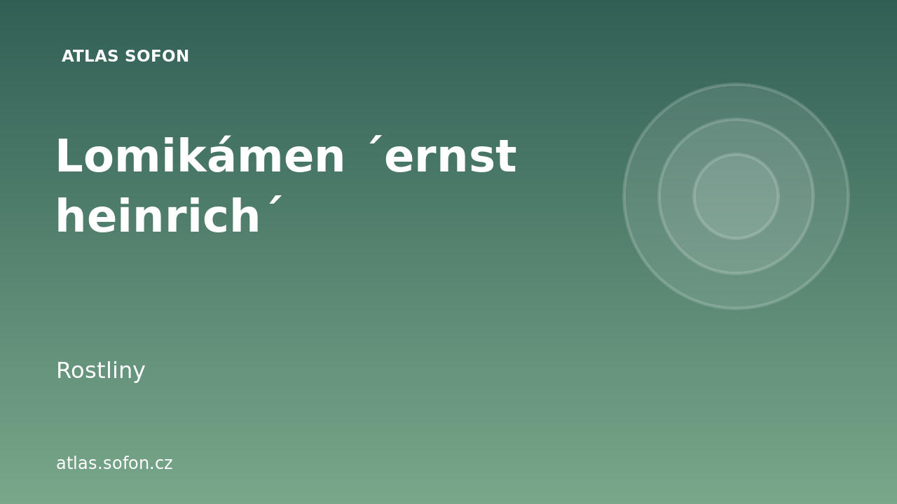 Lomikámen ´ernst heinrich´