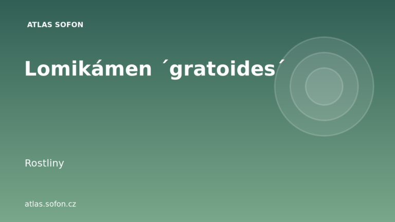 Lomikámen ´gratoides´