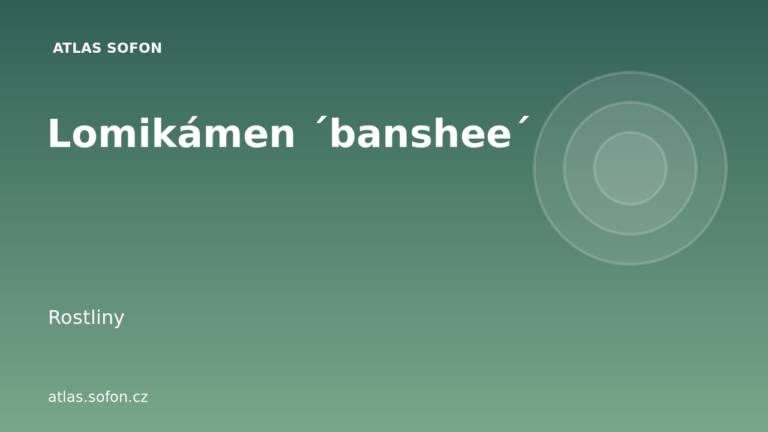 Lomikámen ´banshee´