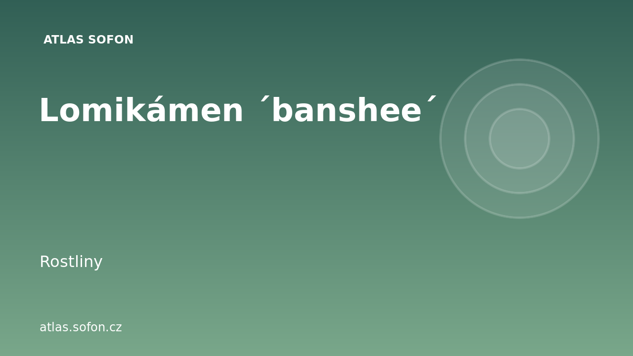 Lomikámen ´banshee´