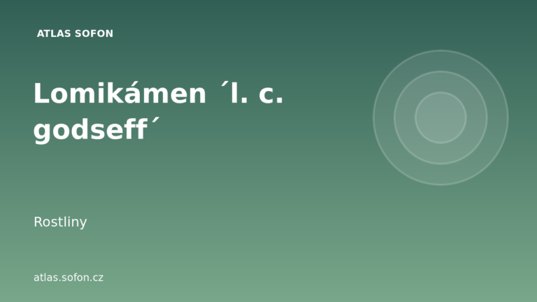 Lomikámen ´l. c. godseff´