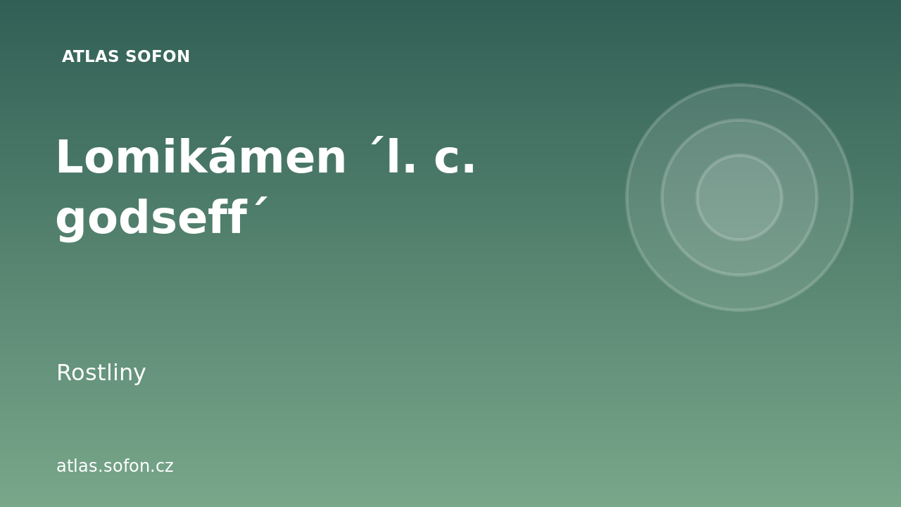 Lomikámen ´l. c. godseff´