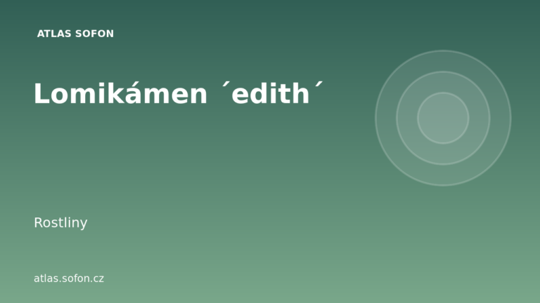 Lomikámen ´edith´
