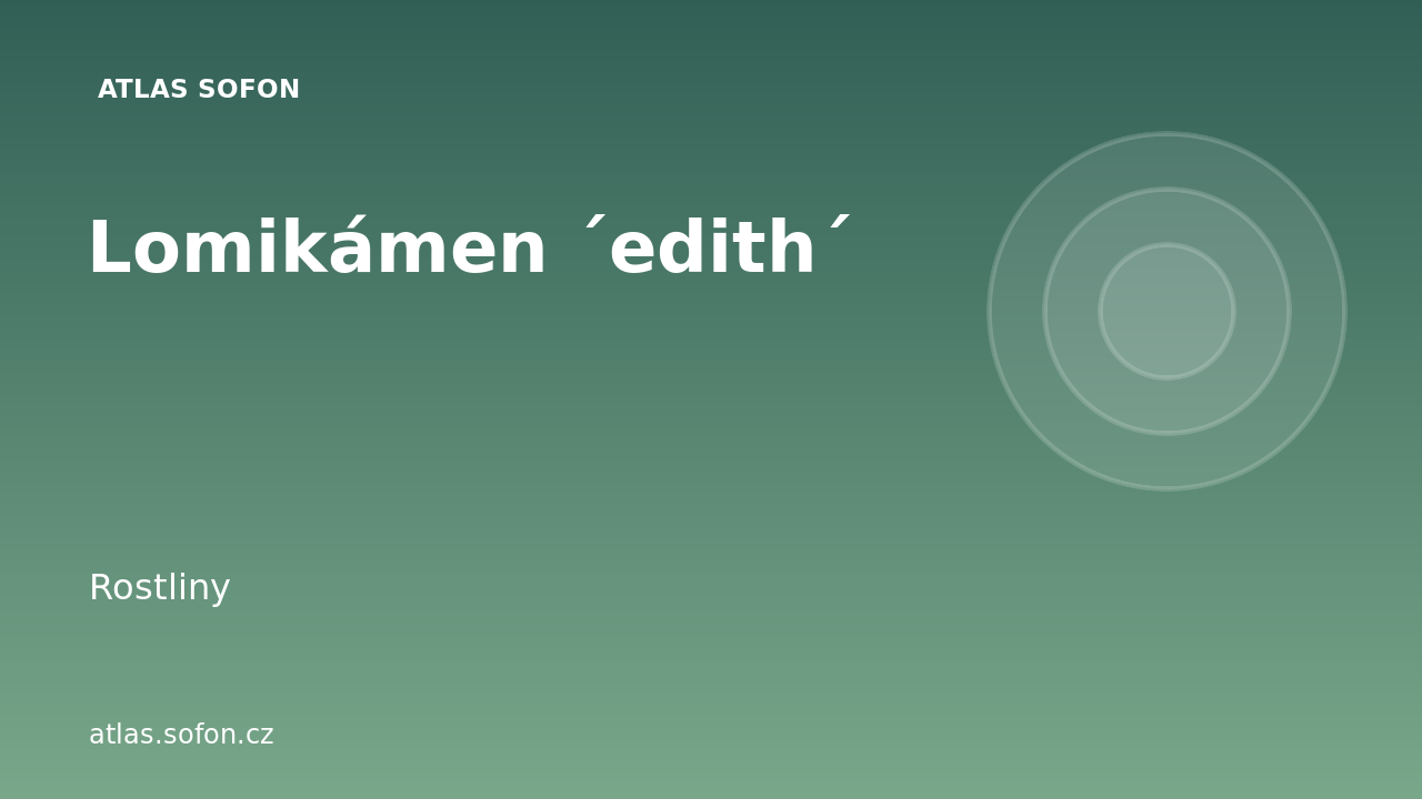 Lomikámen ´edith´