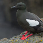 000805_thumbnail