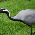 001467_thumbnail