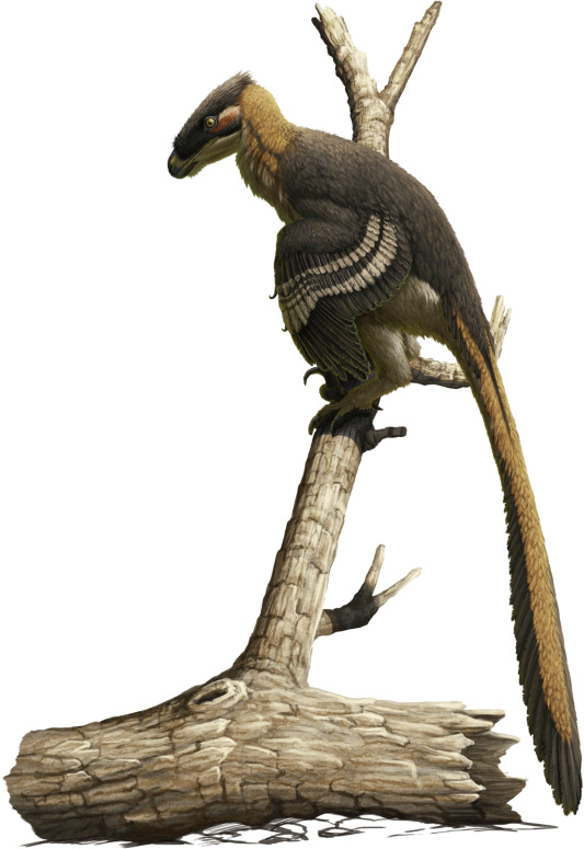 Nuthetes