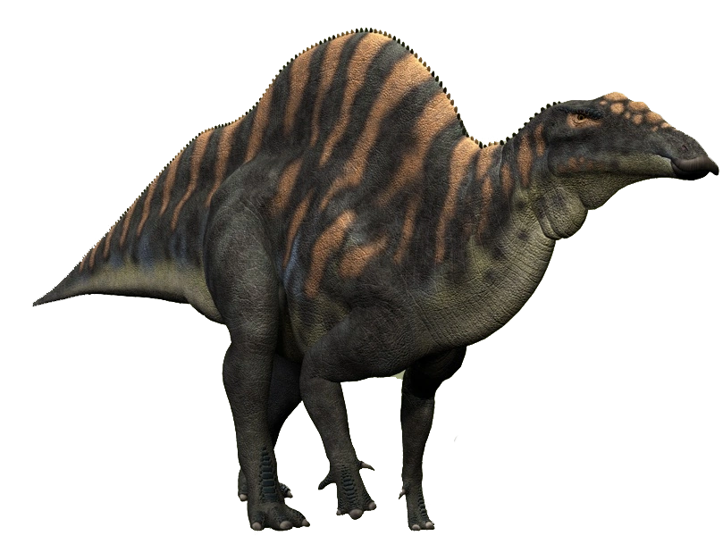 Ouranosaurus