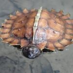 116895_small