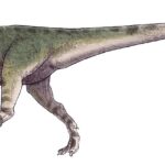 1200px-Magnosaurus