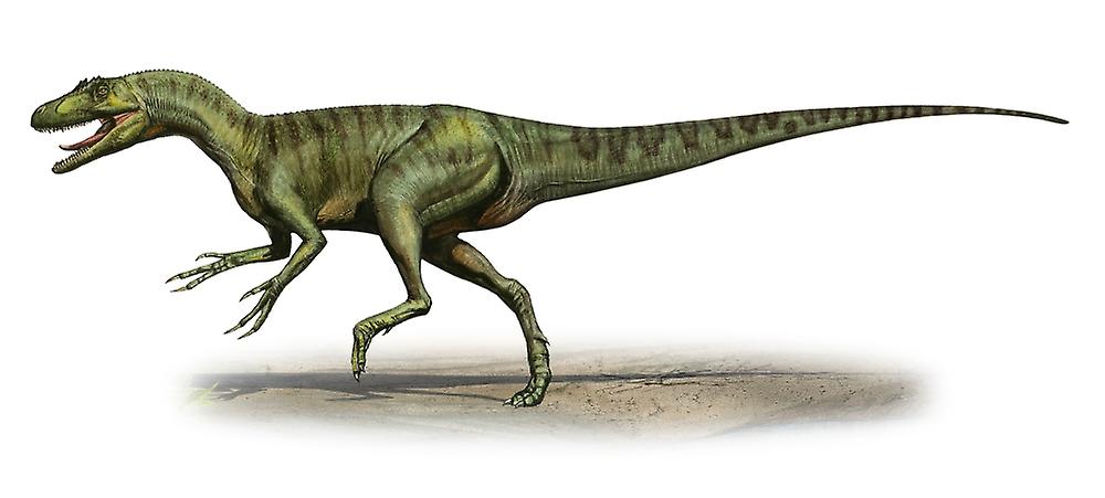 Deltadromeus