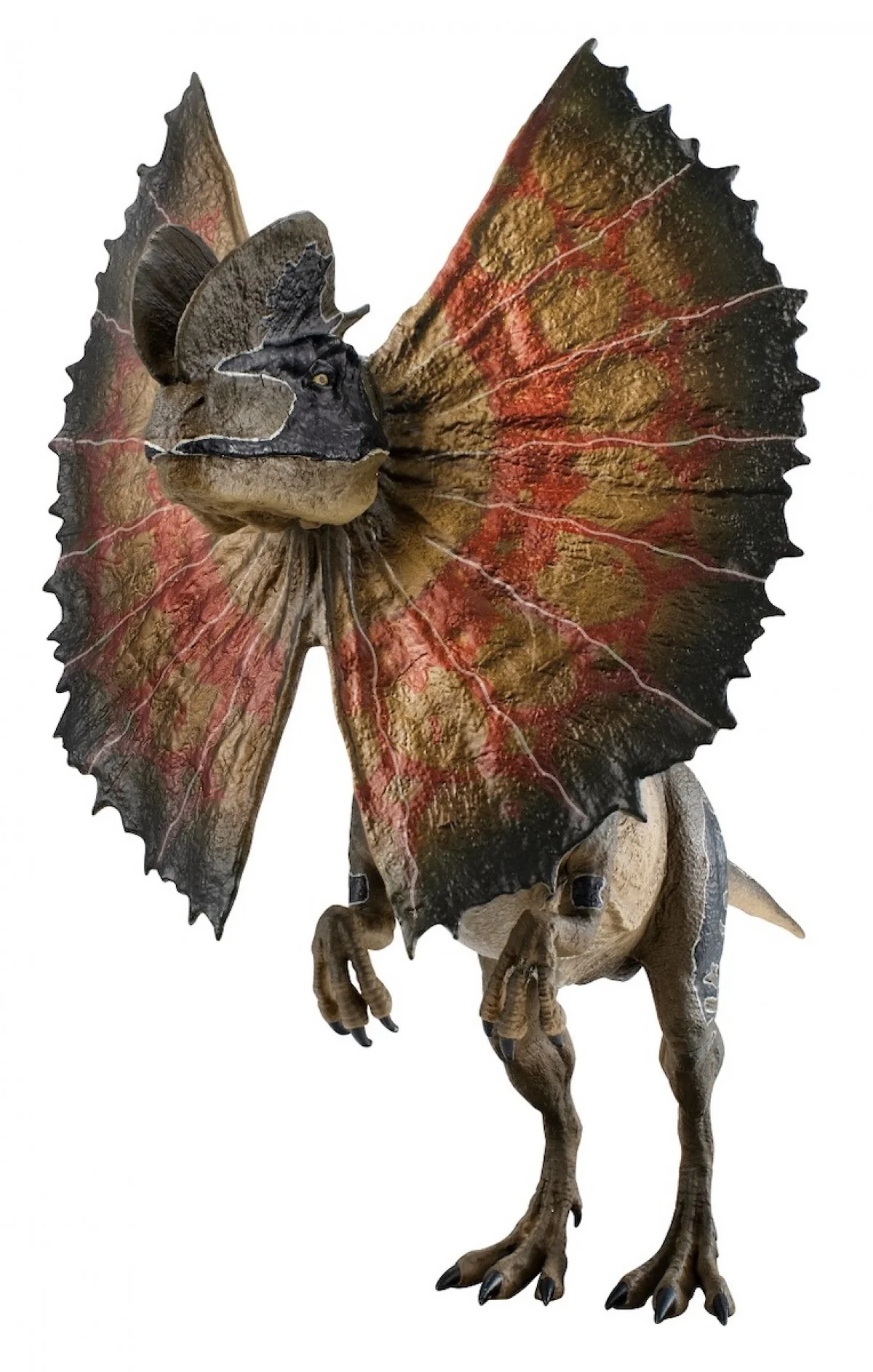 Dilophosaurus