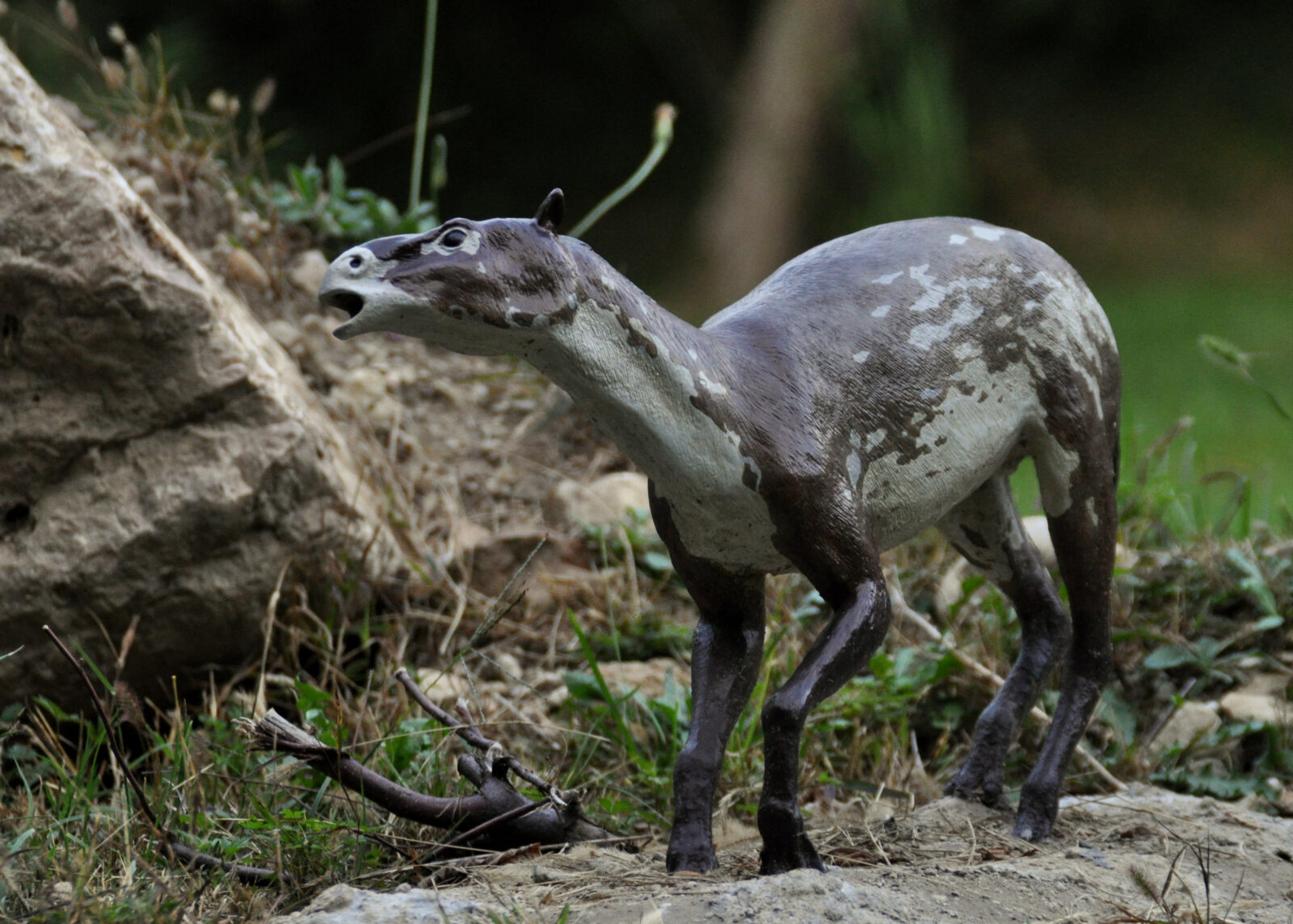 Hyracotherium