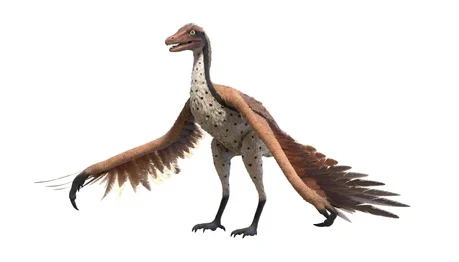 Archaeopteryx