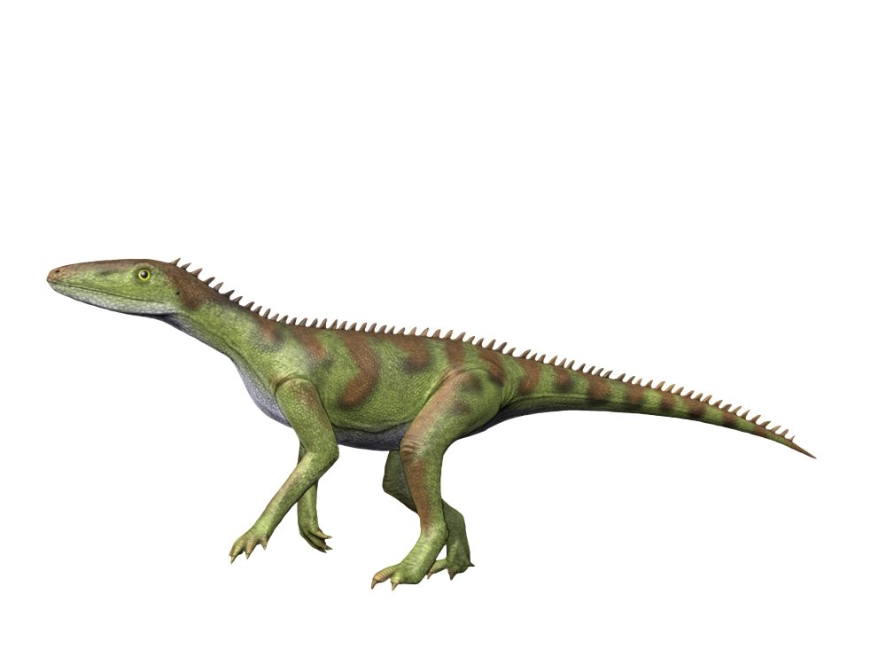 Lewisuchus