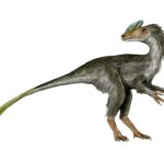 Guanlong Version 1.0.0