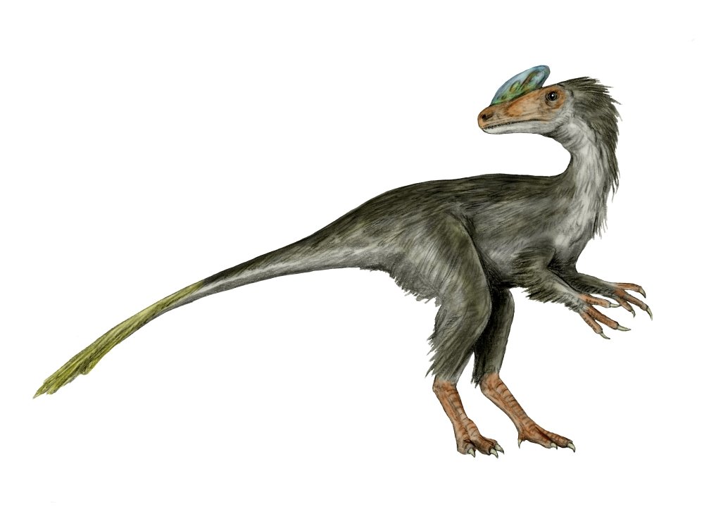 Guanlong
