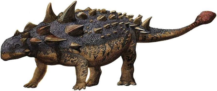 Euoplocephalus