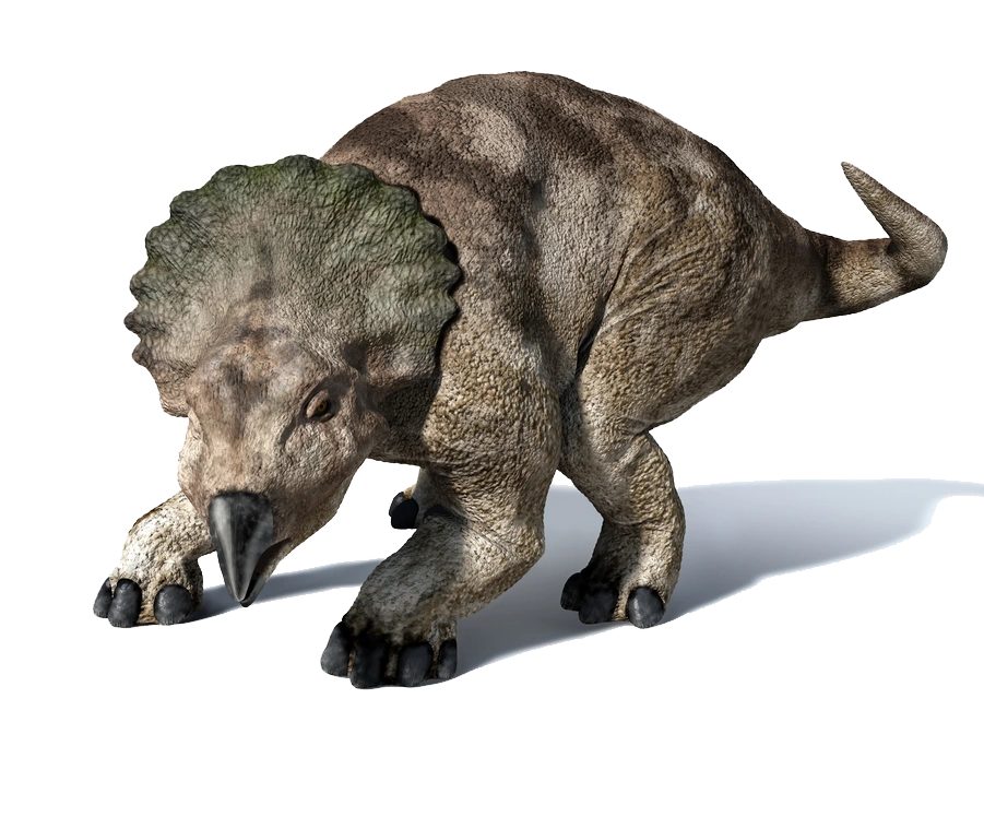 Protoceratops