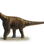 Abrosaurus-dongpoi-a-prehistoric-era-sergey-krasovskiy