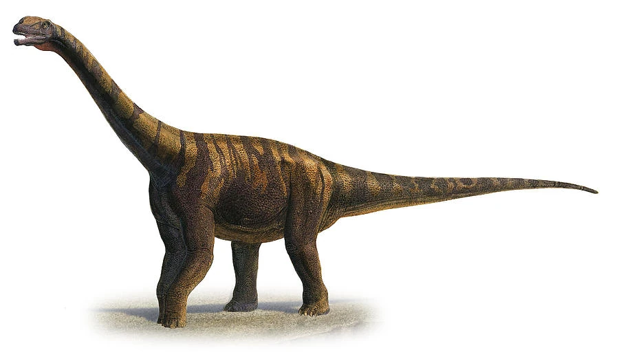 Abrosaurus