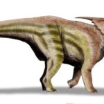Achelousaurus_5ae6