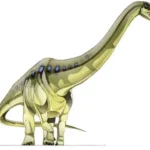 Aegyptosaurus