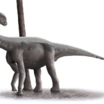 Algoasaurus