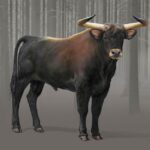 Aurochs (Bos primigenius) – tur, Aurox, aurochsen, urus, ure