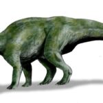 Bagaceratops_BW