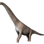 Brachiosaurus_NT_new