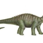 Bruhathkayosaurus_4e85
