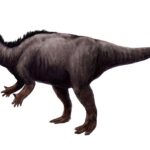 Camptosaurus