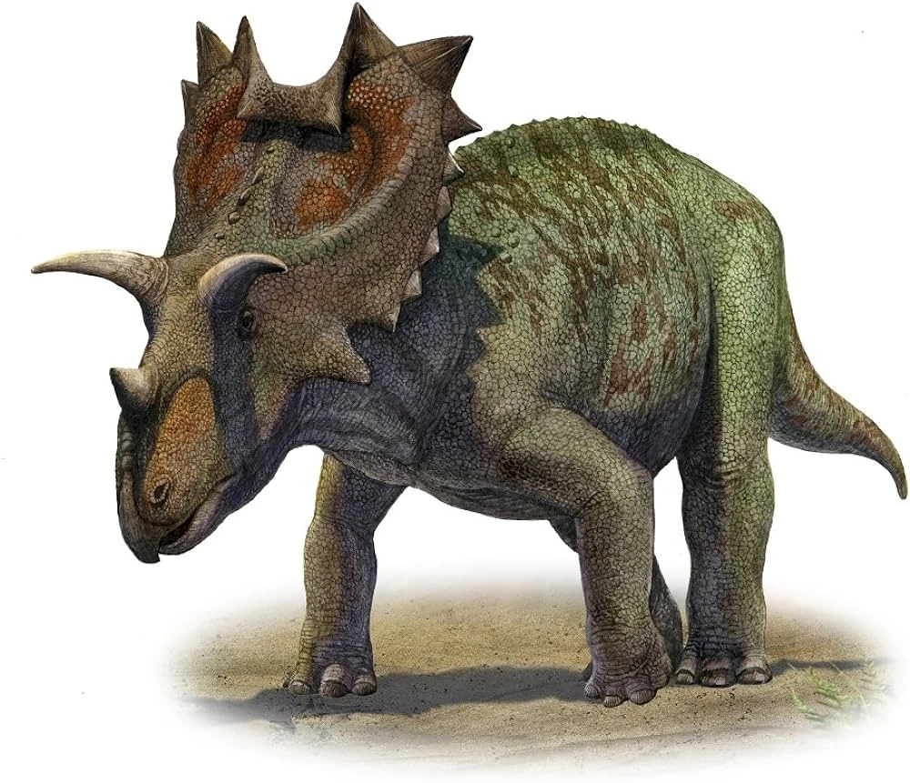 Ceratops