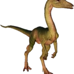 Compsognathus_JWE2_Profile