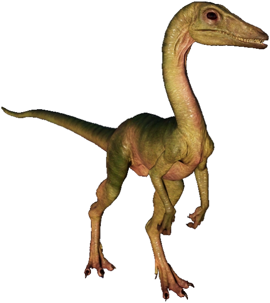 Compsognathus
