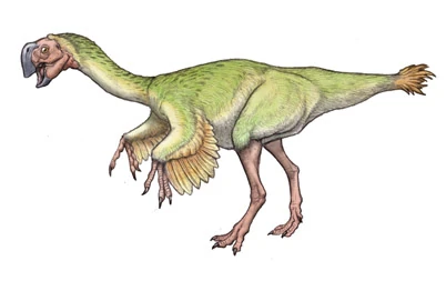 Conchoraptor