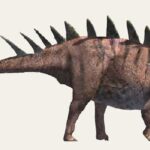 Dacentrurus Dacentrurus-Oscar-Sanisidro_55e6