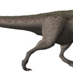 Daspletosaurus_torosus_steveoc_flipped