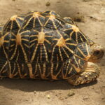 Davidraju_IMG_7365