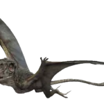 Dimorphodonjw