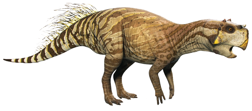 Psittacosaurus