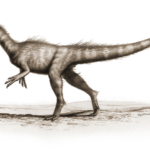 Dracoraptor_hanigani