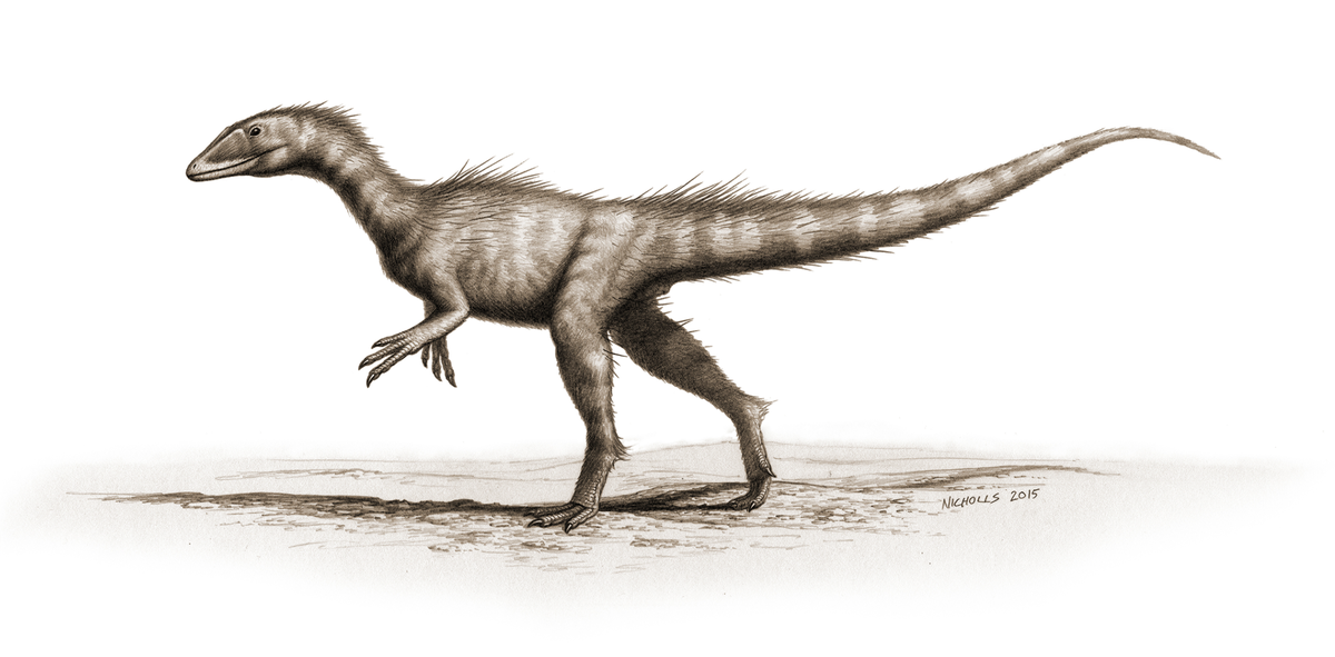 Dracoraptor