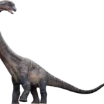 Dreadnoughtus_Render