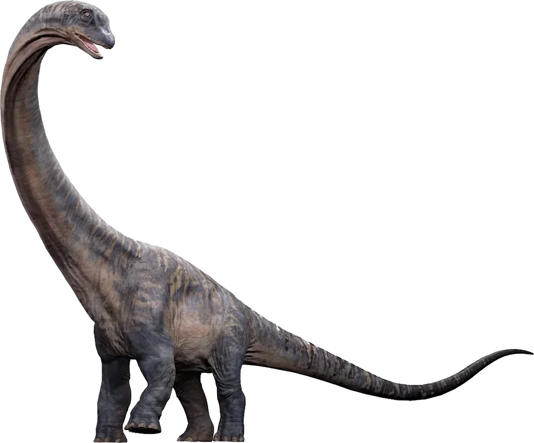 Dreadnoughtus