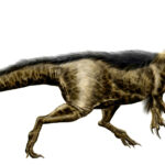 Dryptosaurus_by_Durbed