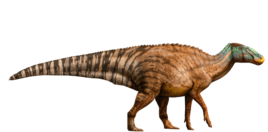 Edmontosaurus