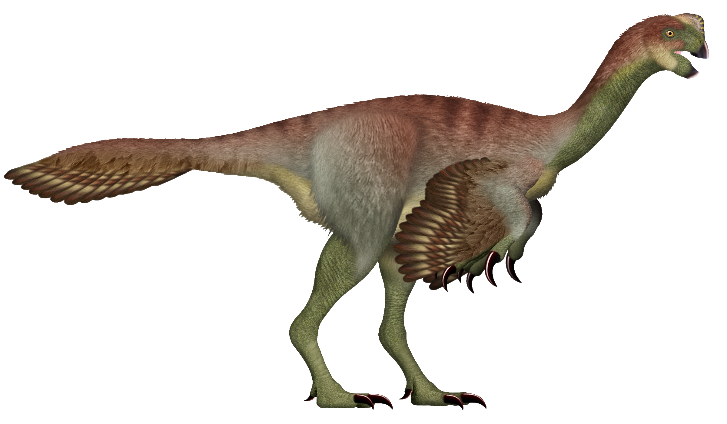 Gigantoraptor