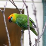 IMG_8954